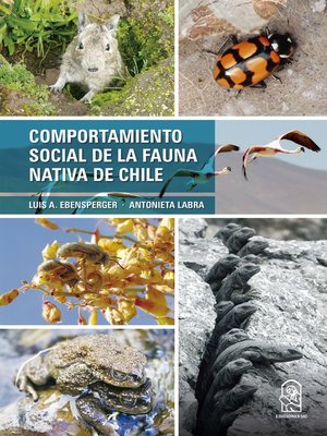 cover image of Comportamiento social de la fauna nativa de Chile